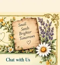 Tiny Bee Garden Our Products botanical header — right garden scene