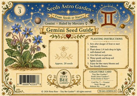 Gemini Birthday Card — Back
