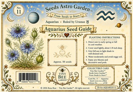 Aquarius Birthday Card — Back