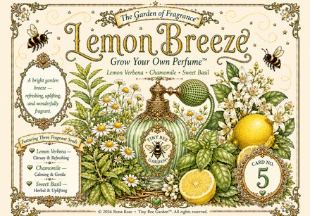 Lemon Breeze — Front