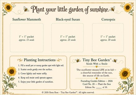 Plant the Sun — Back