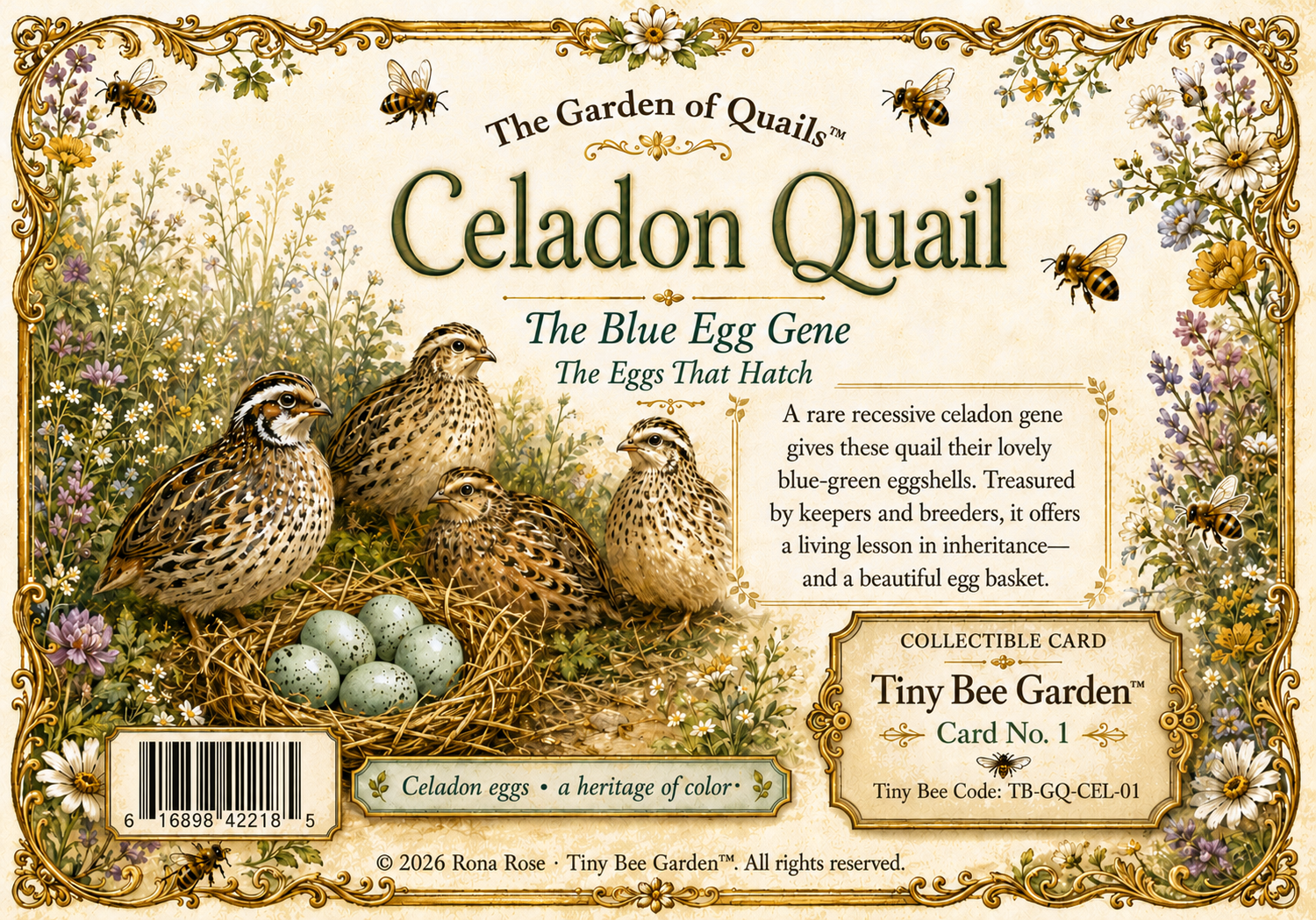 Quail Blue Celadon Coturnix Hatching Eggs qty 12 with card — Front of the card